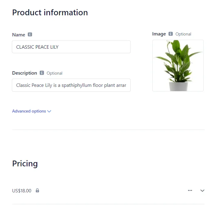 Stripe form for creating a product