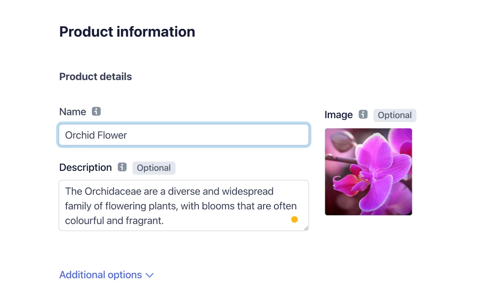 Formulario de Stripe para introducir la información y la imagen de un producto